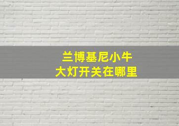 兰博基尼小牛大灯开关在哪里