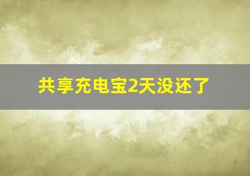 共享充电宝2天没还了