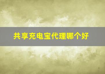 共享充电宝代理哪个好