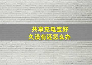 共享充电宝好久没有还怎么办