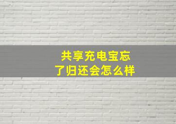 共享充电宝忘了归还会怎么样