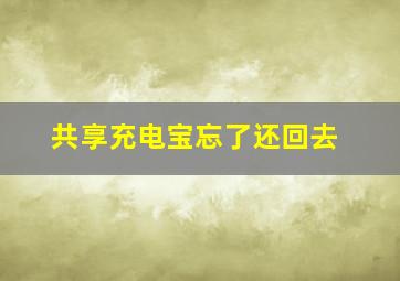 共享充电宝忘了还回去