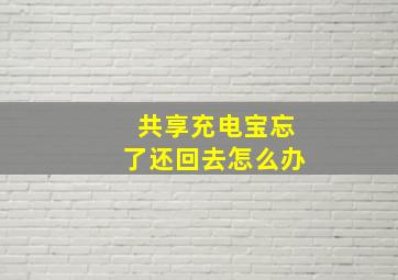 共享充电宝忘了还回去怎么办