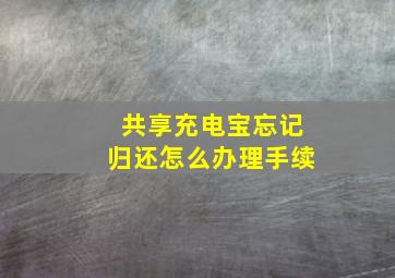 共享充电宝忘记归还怎么办理手续