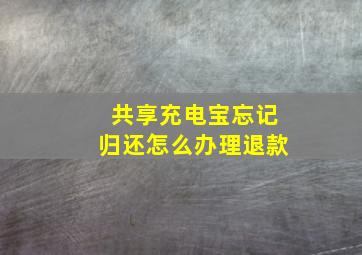 共享充电宝忘记归还怎么办理退款