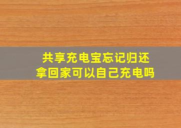 共享充电宝忘记归还拿回家可以自己充电吗