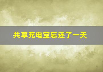 共享充电宝忘还了一天