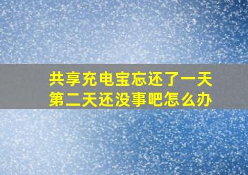 共享充电宝忘还了一天第二天还没事吧怎么办