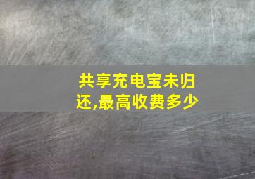 共享充电宝未归还,最高收费多少