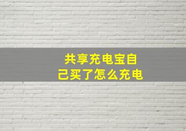 共享充电宝自己买了怎么充电