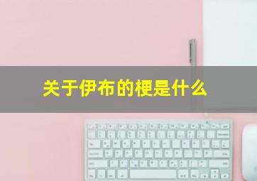 关于伊布的梗是什么