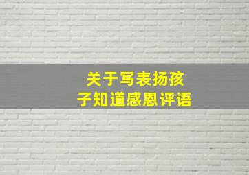 关于写表扬孩子知道感恩评语