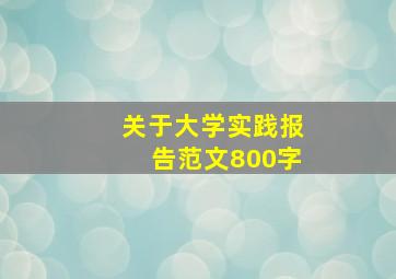 关于大学实践报告范文800字