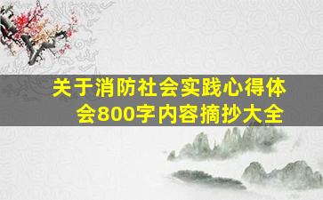 关于消防社会实践心得体会800字内容摘抄大全