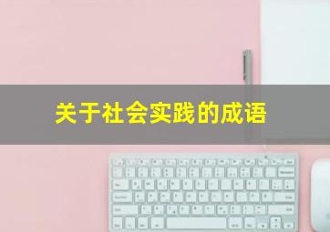 关于社会实践的成语