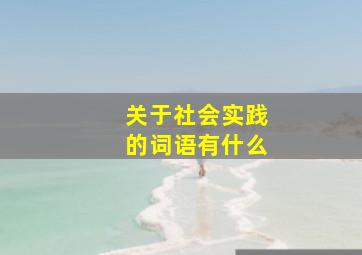 关于社会实践的词语有什么