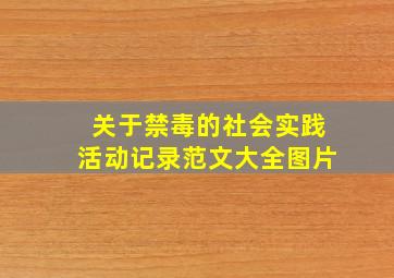 关于禁毒的社会实践活动记录范文大全图片