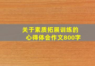 关于素质拓展训练的心得体会作文800字