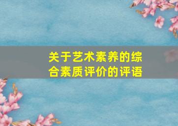 关于艺术素养的综合素质评价的评语