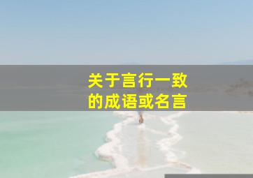 关于言行一致的成语或名言