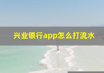 兴业银行app怎么打流水