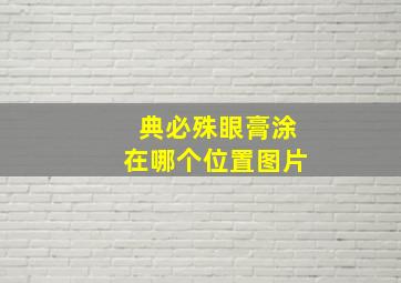 典必殊眼膏涂在哪个位置图片