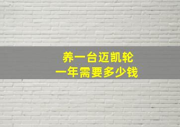 养一台迈凯轮一年需要多少钱