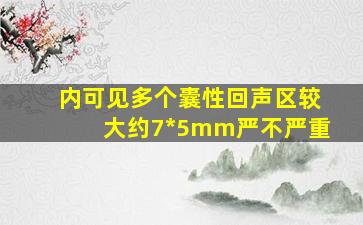 内可见多个囊性回声区较大约7*5mm严不严重