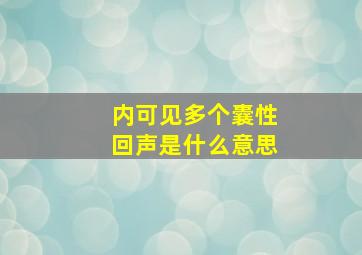 内可见多个囊性回声是什么意思