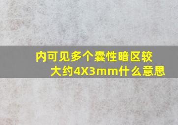 内可见多个囊性暗区较大约4X3mm什么意思