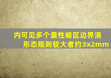 内可见多个囊性暗区边界清形态规则较大者约3x2mm