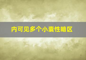 内可见多个小囊性暗区