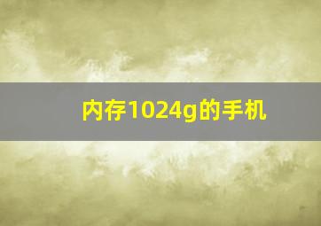 内存1024g的手机