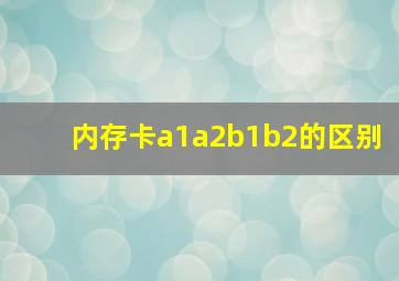 内存卡a1a2b1b2的区别