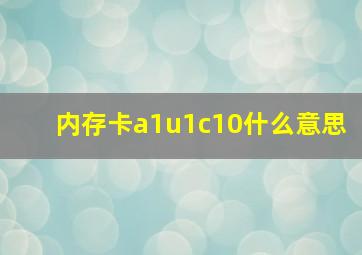 内存卡a1u1c10什么意思