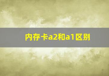 内存卡a2和a1区别