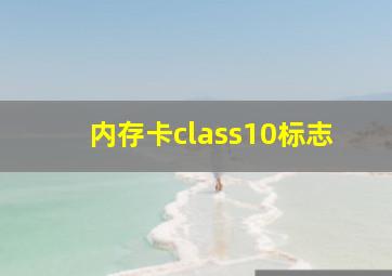 内存卡class10标志