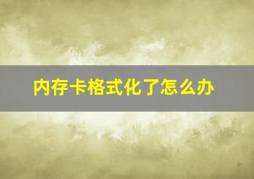 内存卡格式化了怎么办