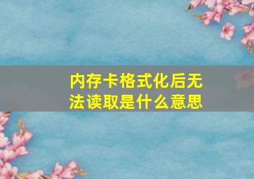 内存卡格式化后无法读取是什么意思