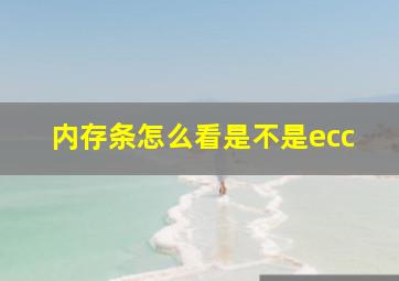 内存条怎么看是不是ecc