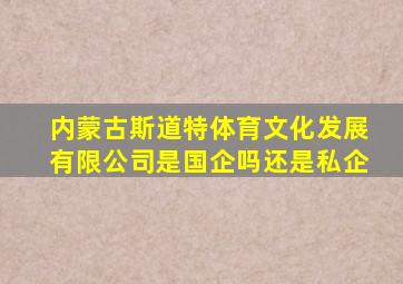 内蒙古斯道特体育文化发展有限公司是国企吗还是私企