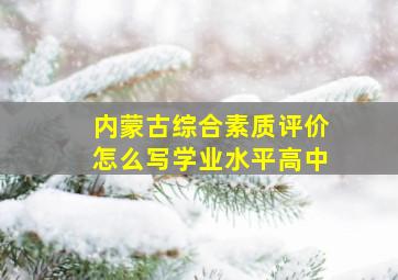 内蒙古综合素质评价怎么写学业水平高中