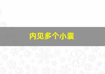 内见多个小囊