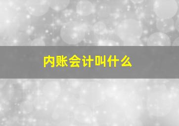 内账会计叫什么