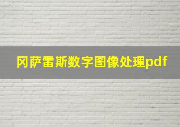 冈萨雷斯数字图像处理pdf