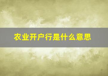 农业开户行是什么意思