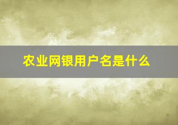 农业网银用户名是什么