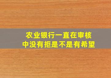 农业银行一直在审核中没有拒是不是有希望