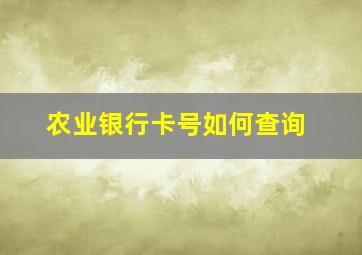 农业银行卡号如何查询