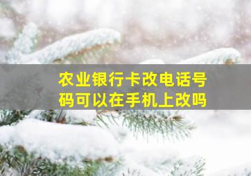 农业银行卡改电话号码可以在手机上改吗